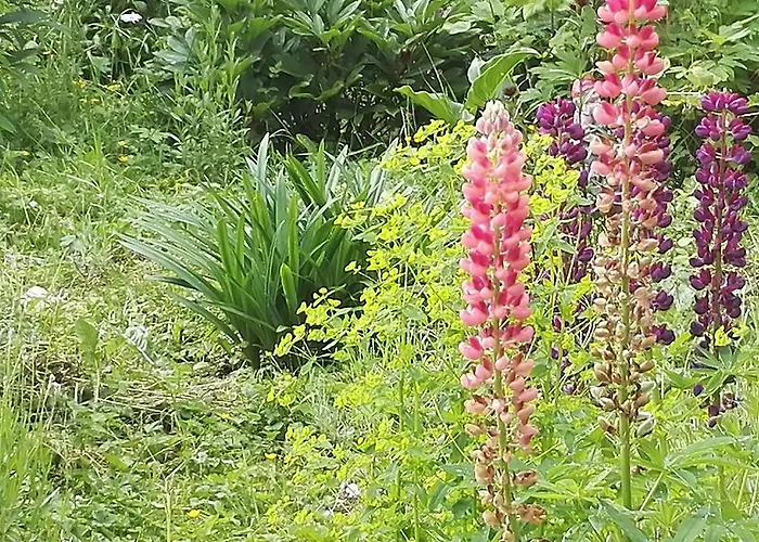 Hestia Bed & Breakfast *