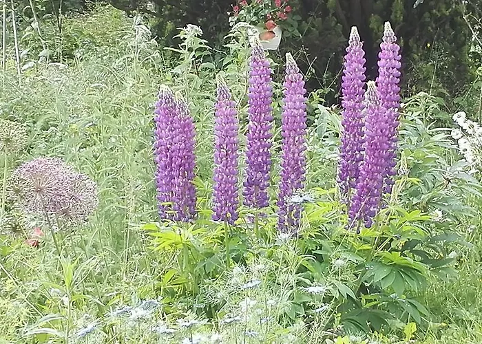 Hestia Bed & Breakfast *